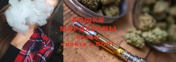 тгк Бронницы