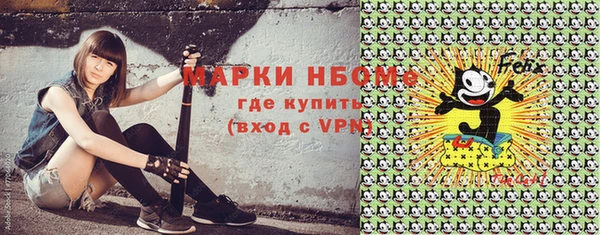 индика Саяногорск