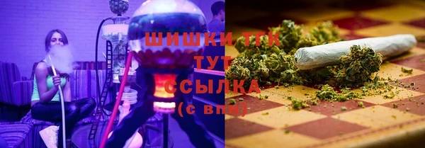 тгк Бронницы